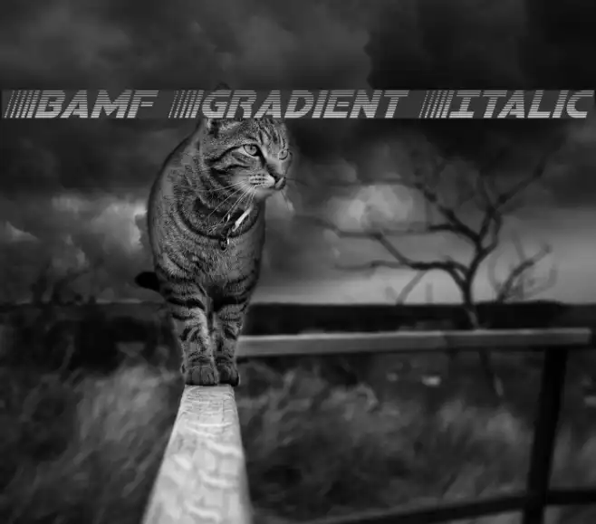 Bamf Gradient Italic Example 2