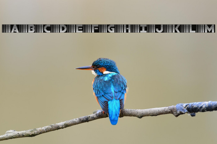 Bamf Gradient Example 1