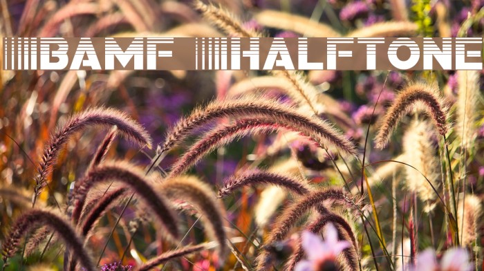 Bamf Halftone Example 2