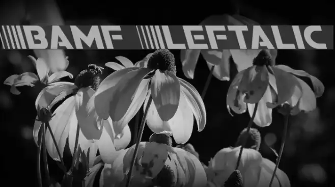 Bamf Leftalic Example 2