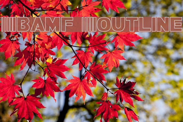 Bamf Outline Font examples