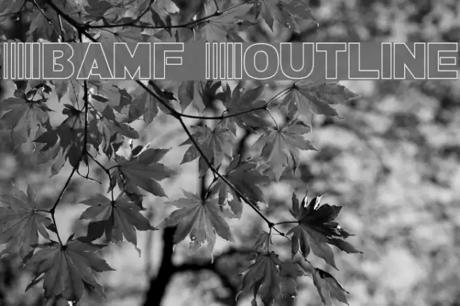 Bamf Outline Polices examples