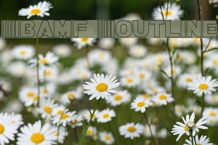 Bamf Outline Font examples