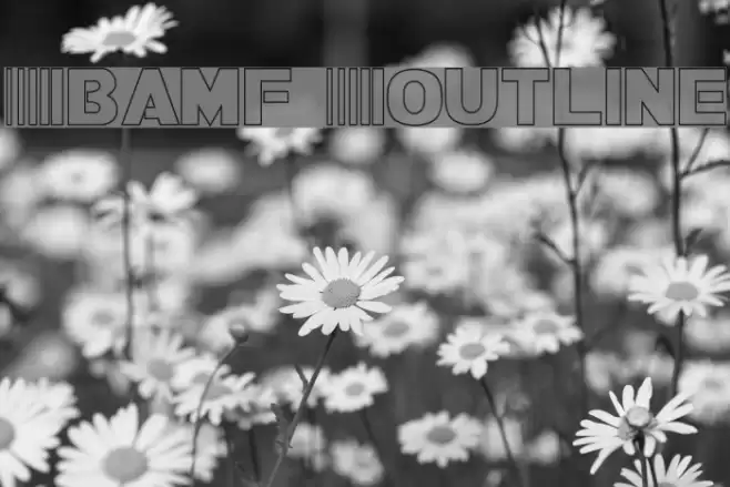 Bamf Outline Polices examples
