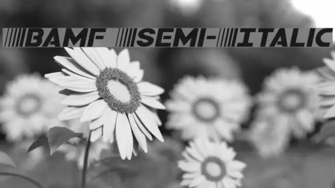Bamf Semi-Italic Font examples