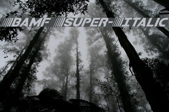 Bamf Super-Italic Font examples