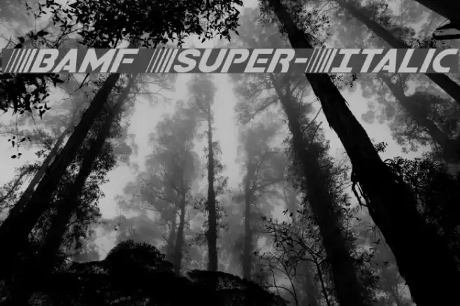 Bamf Super-Italic Example 2