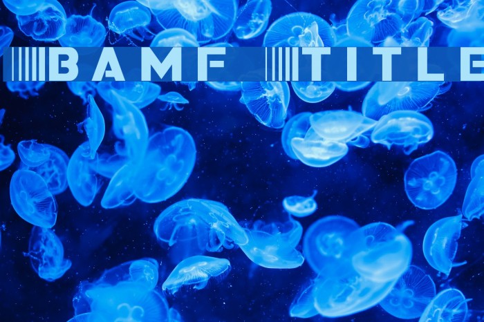 Bamf Title Font examples