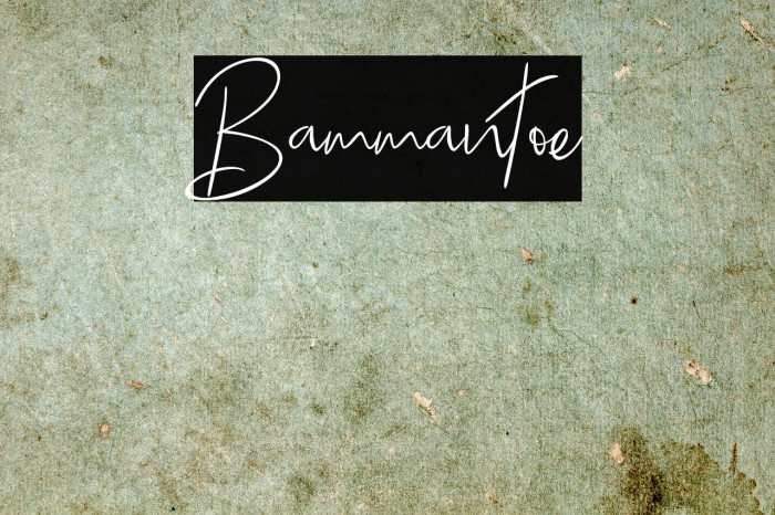 Bammantoe Example 3