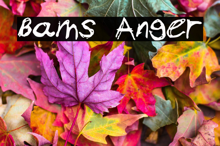 Bams Anger Example 1