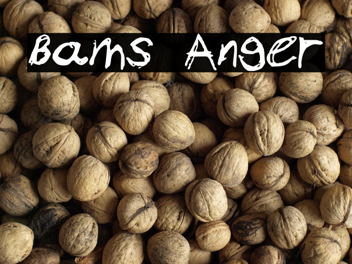 Bams Anger Example 2