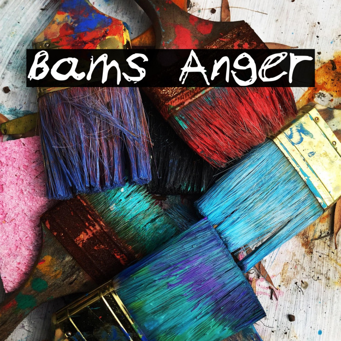 Bams Anger Example 3