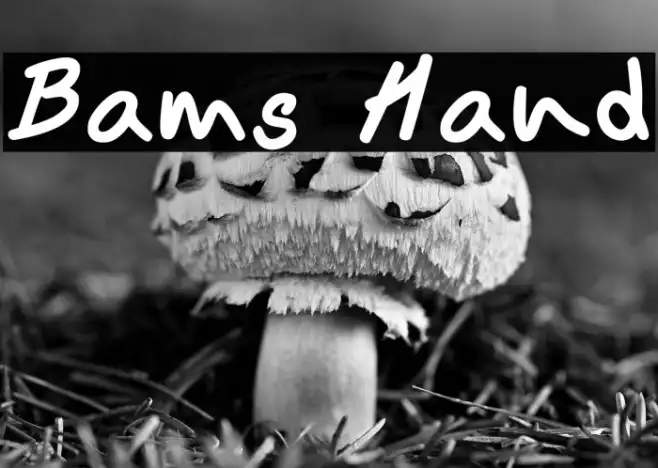 Bams Hand Example 1