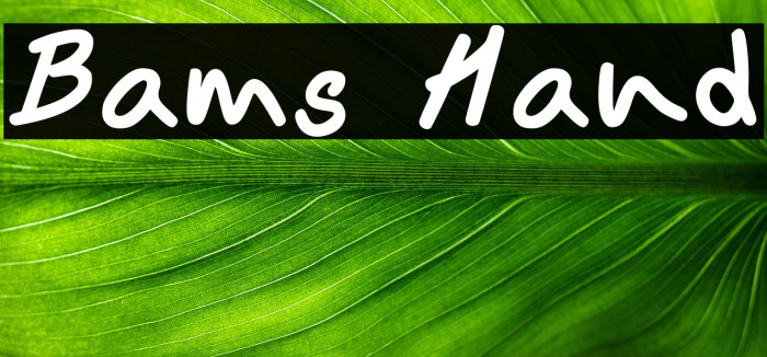 Bams Hand Example 3