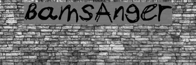 BamsAnger Example 1