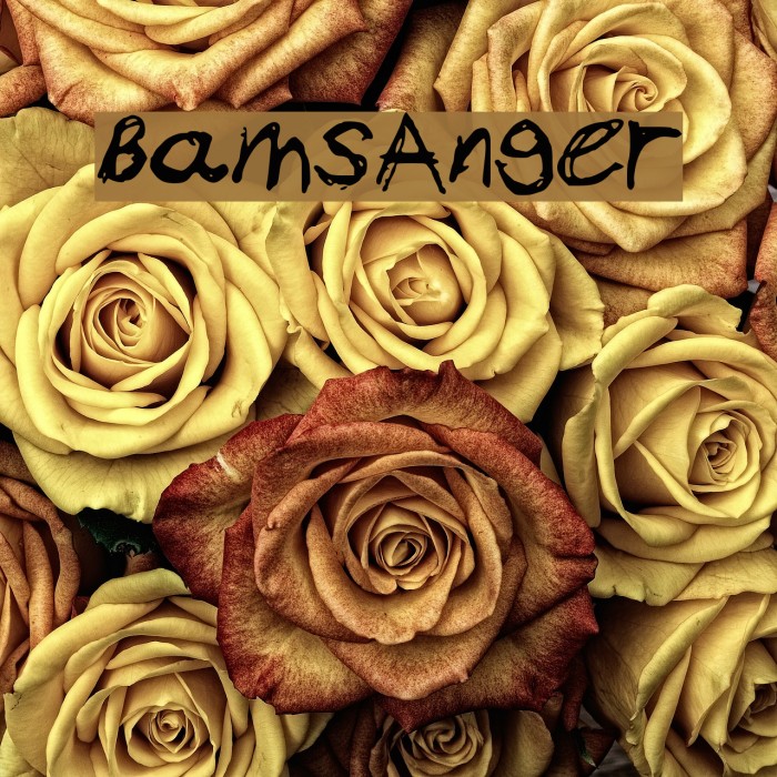 BamsAnger Font examples