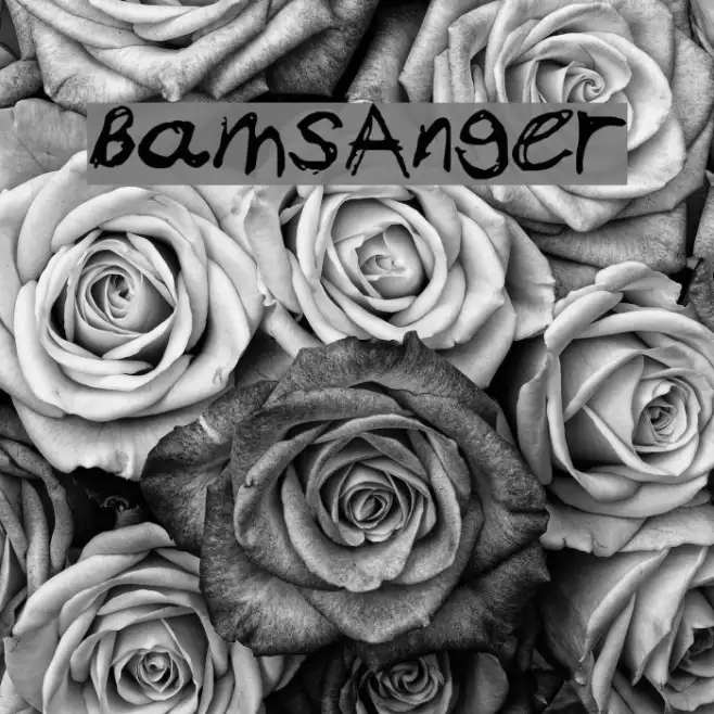 BamsAnger Example 2