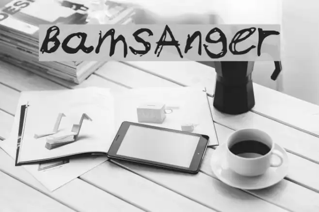 BamsAnger Example 3