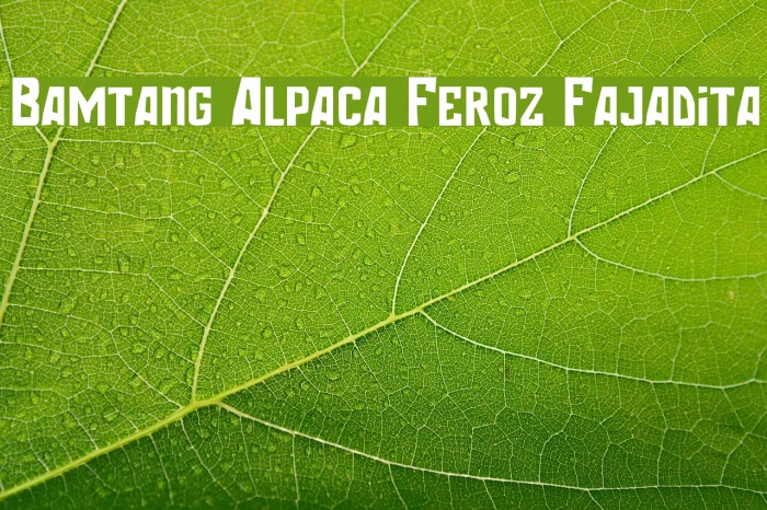 Bamtang Alpaca Feroz Fajadita Font examples