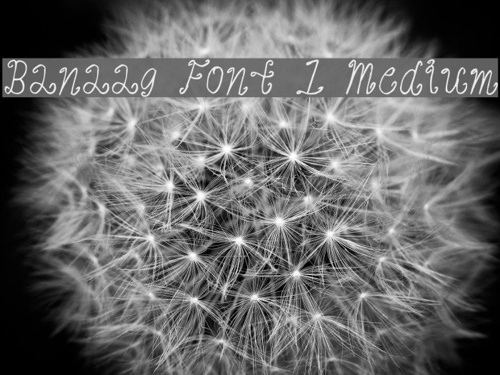 Banaag Font 1 Medium Fonte examples