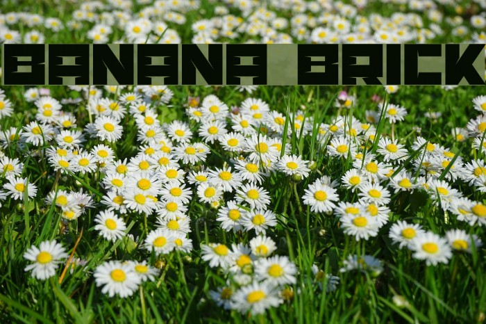 Banana Brick Font examples
