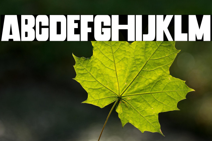 Banana Chips Example 2