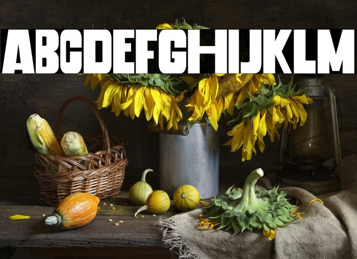 Banana Chips Example 3