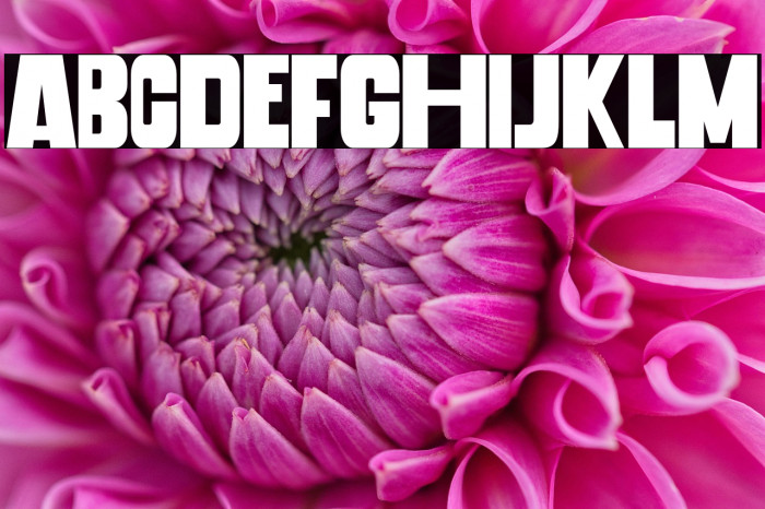 Banana Chips Example 2