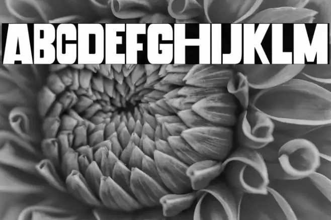 Banana Chips Font examples