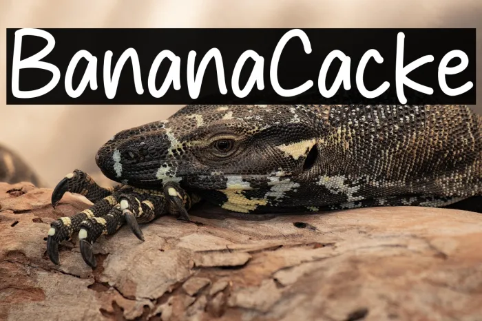 Banana Cracker Example 1