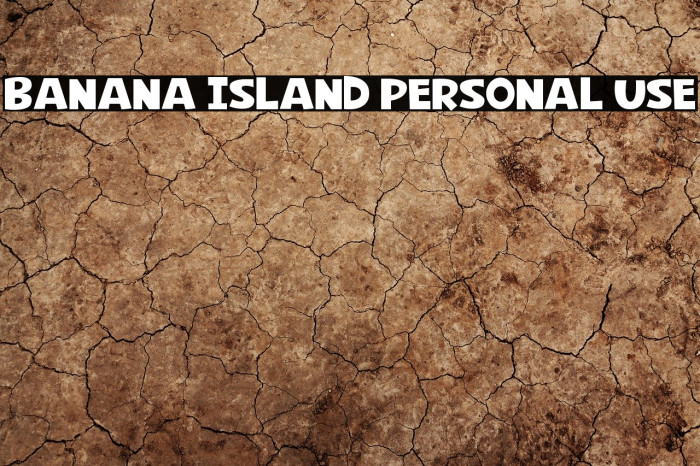 Banana Island Personal Use Example 2