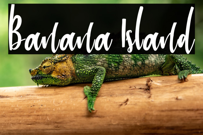 Banana Island Example 2