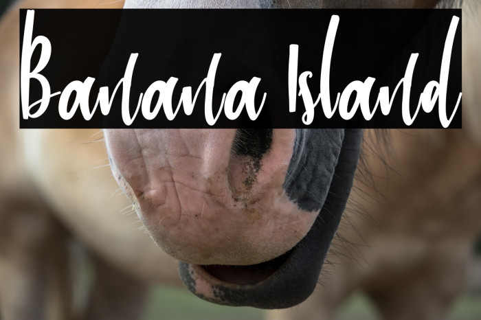 Banana Island Example 3