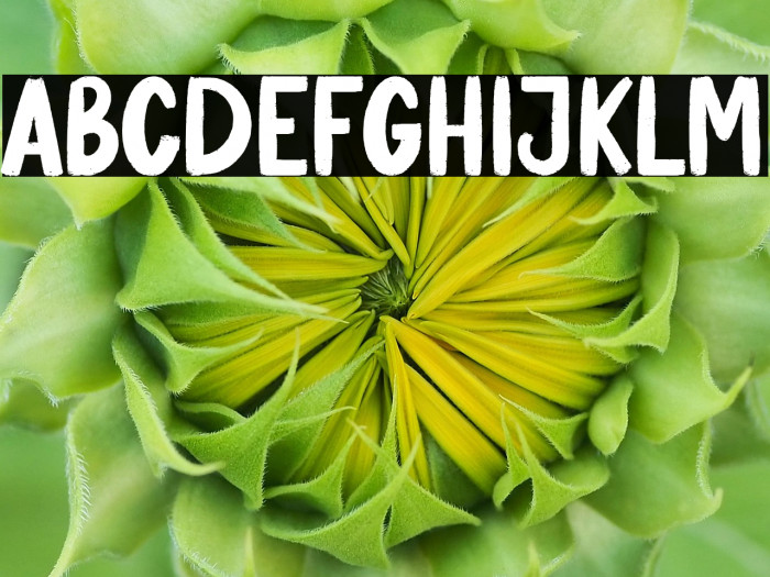 Banana Pastry Example 2