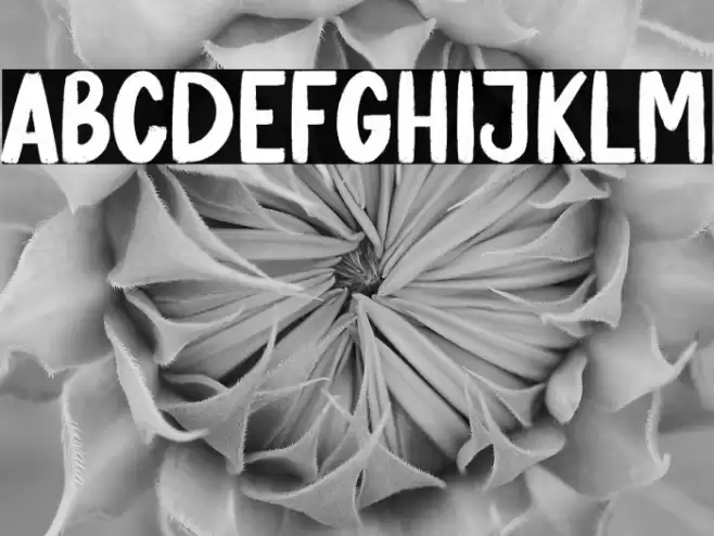 Banana Pastry Font examples