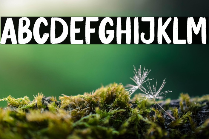 Banana Pastry Example 3