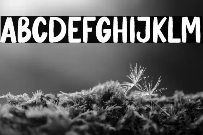 Banana Pastry Font examples