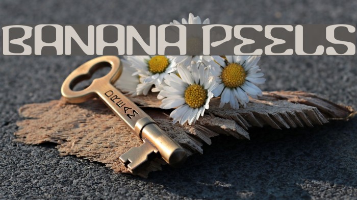 Banana Peels Font examples