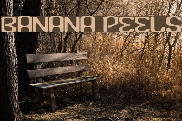 Banana Peels Font examples