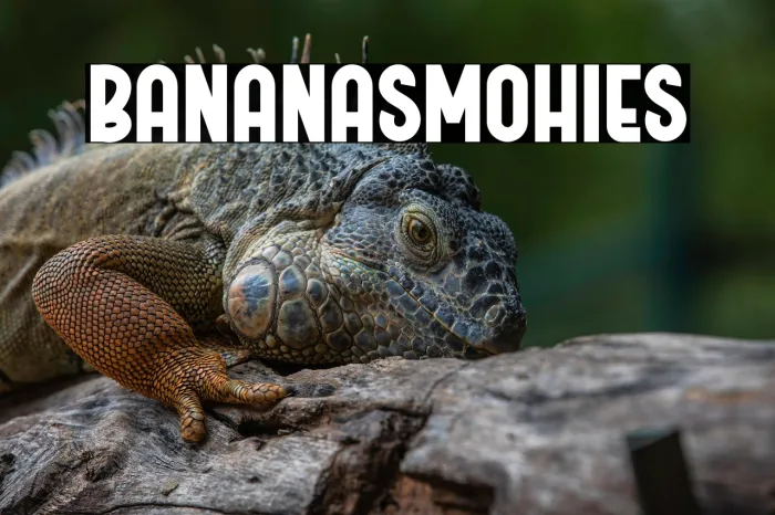 Banana Smothies Example 3