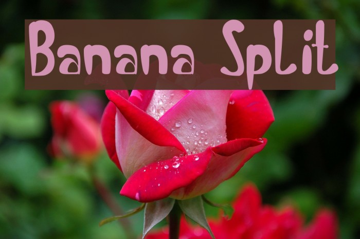 Banana Split Font examples