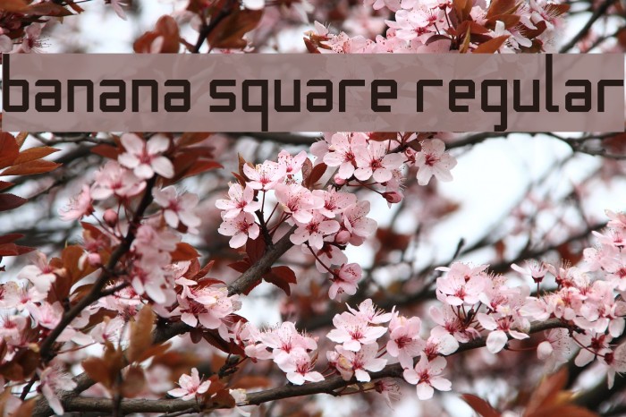 Banana Square Regular Font examples
