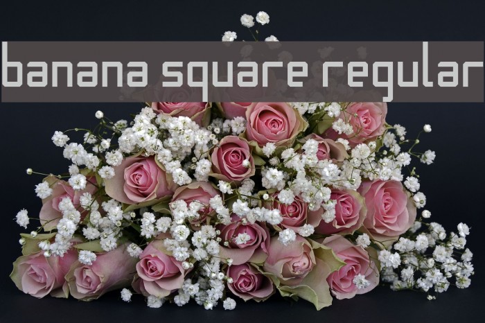 Banana Square Regular Font examples