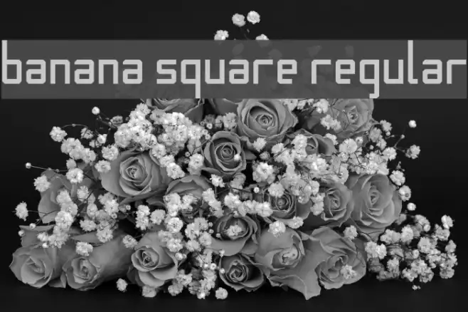 Banana Square Regular Example 2