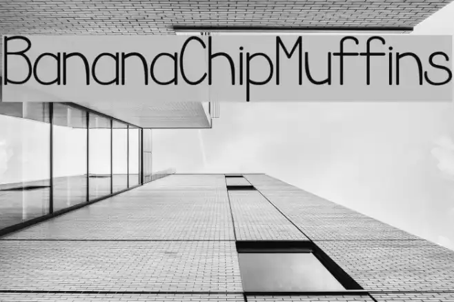 BananaChipMuffins Example 1