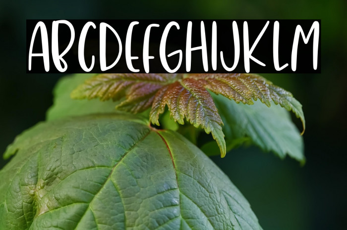 BananaJuice Example 2