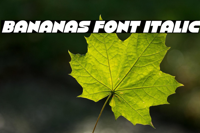 Bananas Font Italic Example 2