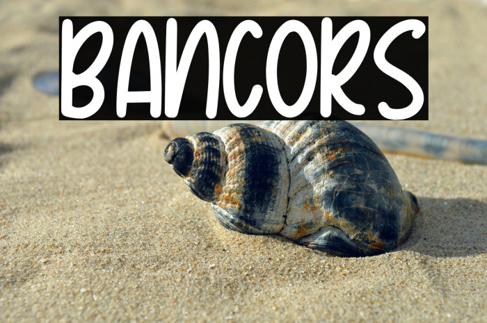 Bancors Example 2