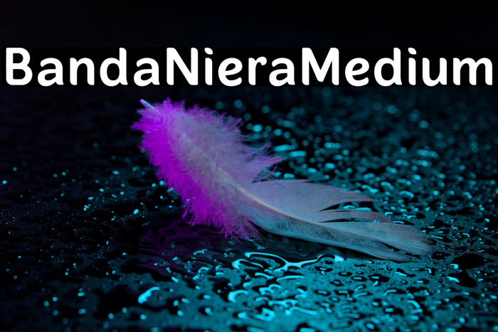 BandaNieraMedium Example 2