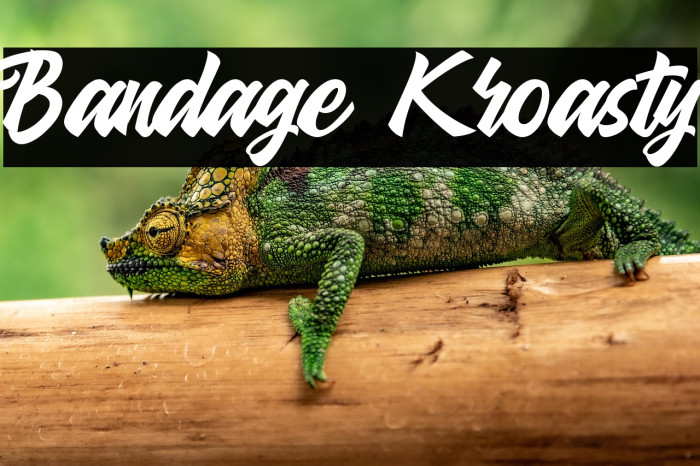 Bandage Kroasty Example 3